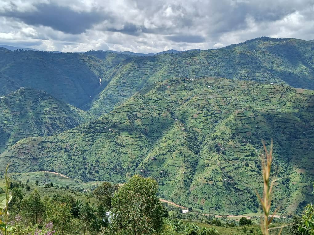 Passion Fruit from Burundi: An Anaerobic Red Bourbon from Migoti Coffee Company