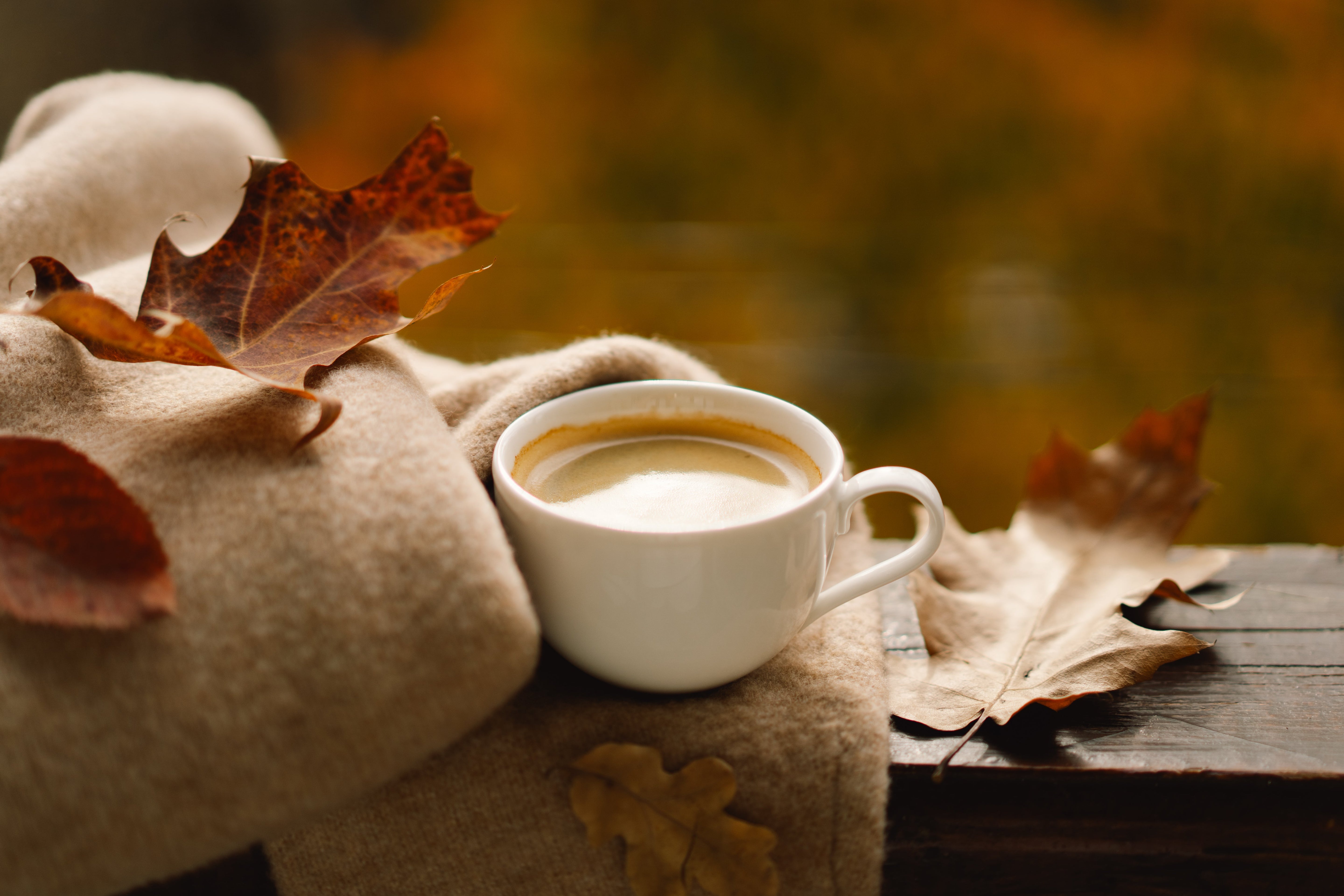 The Best Coffees for Busy Mornings