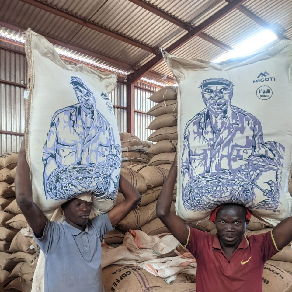 Burundi Migoti Anaerobic