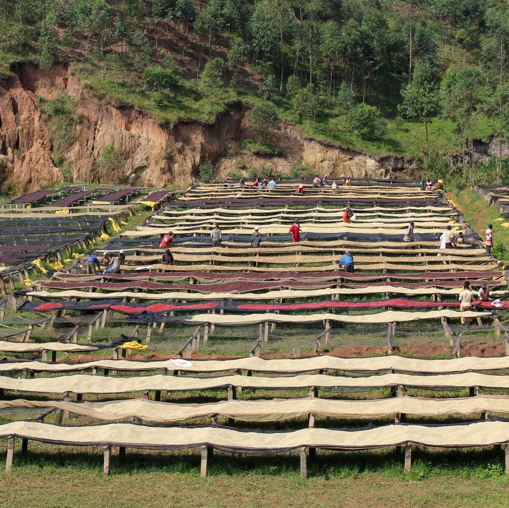 Rwanda Kirunga