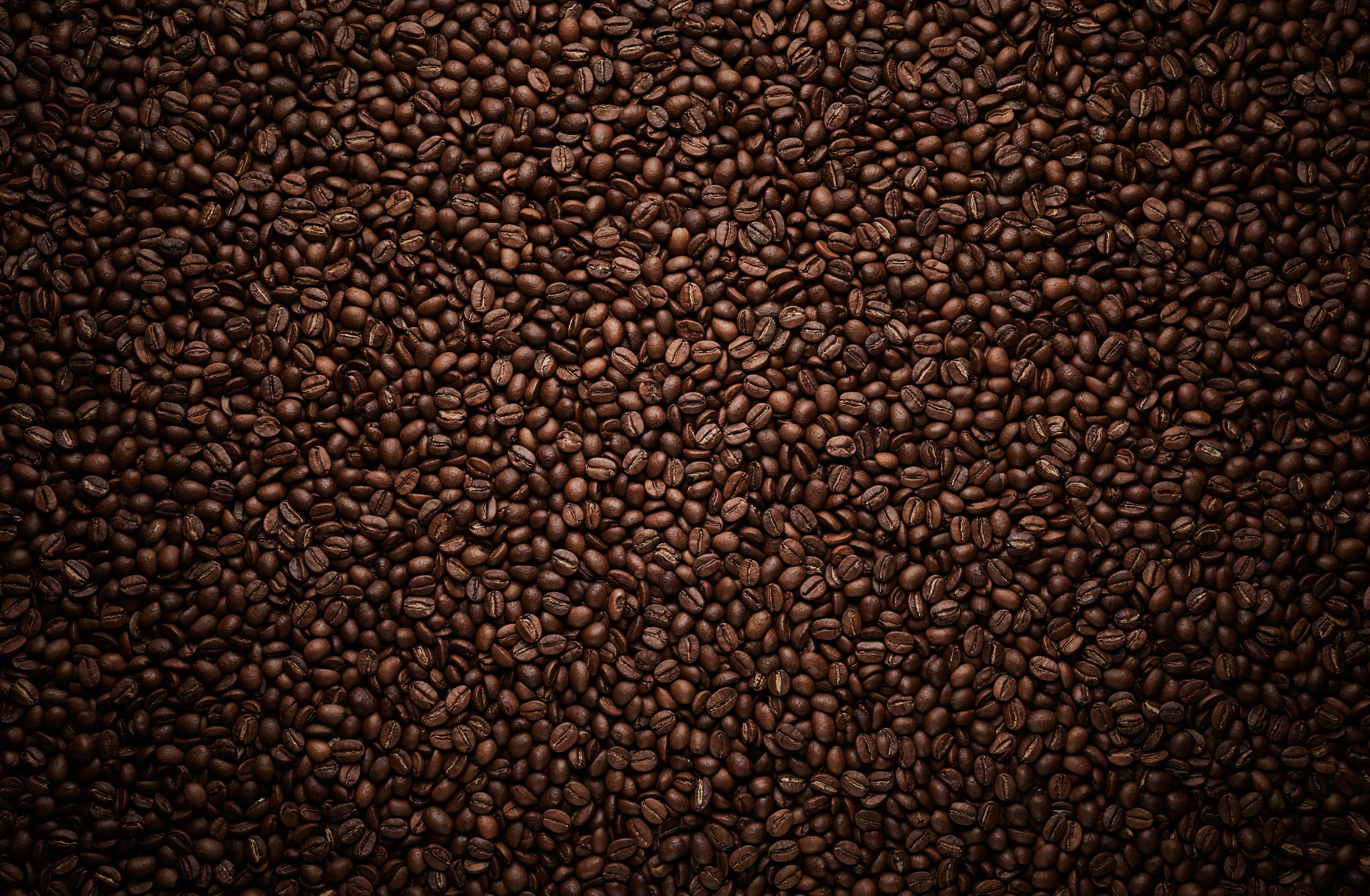 Does the Darkness of Coffee Roast Affect Caffeine?