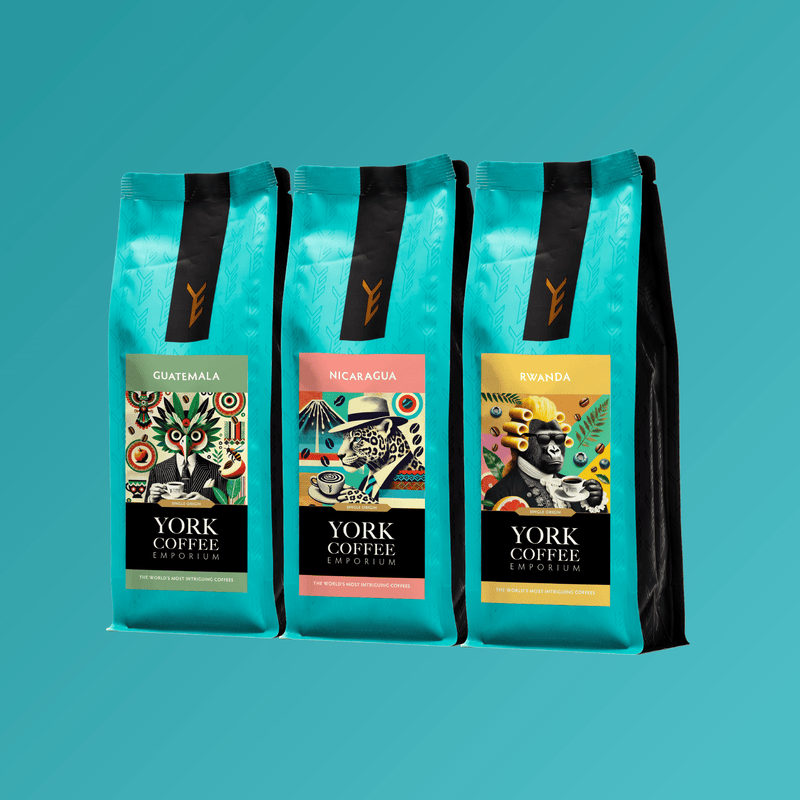 Three teal York Emporium recyclable bags.