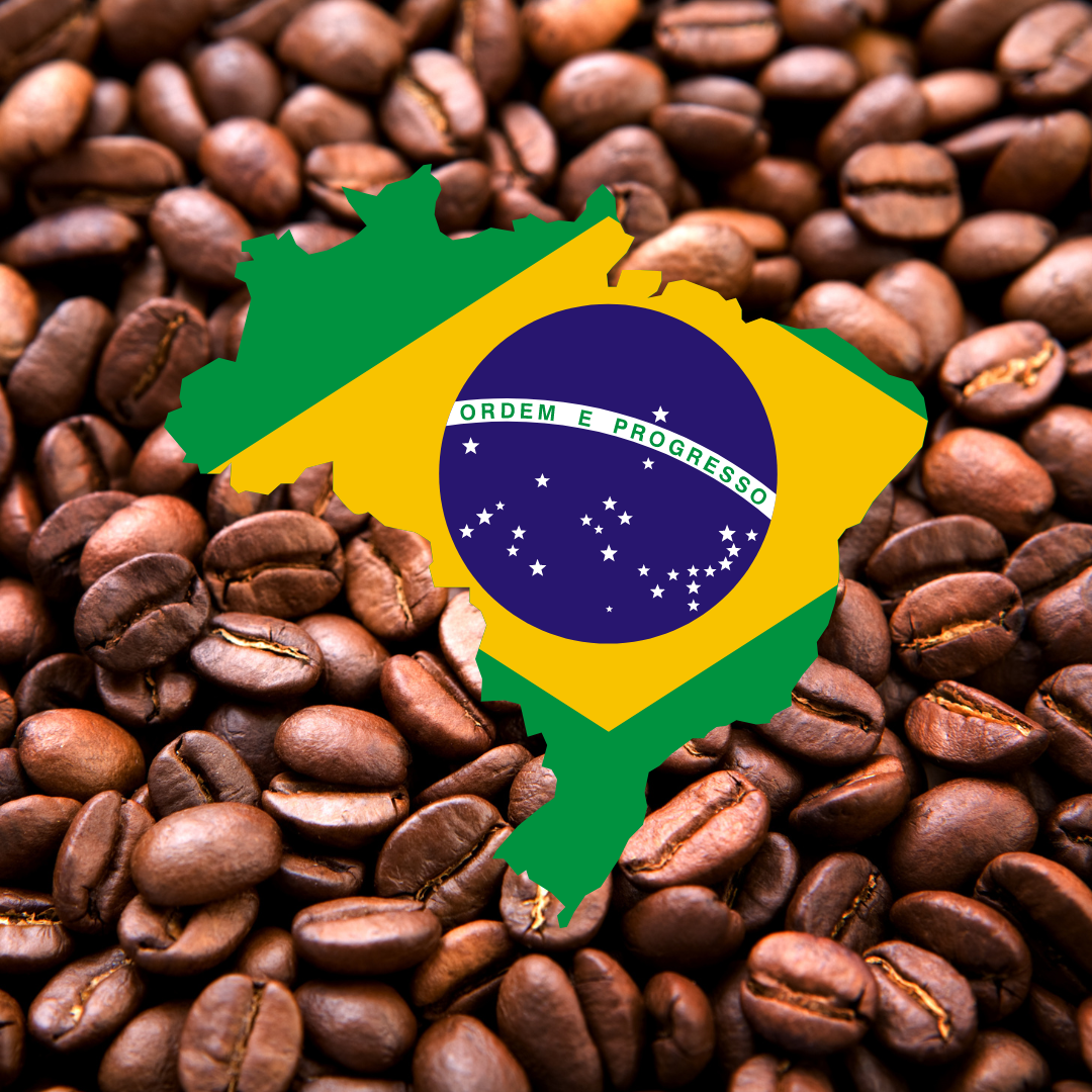 Coffee Origins 02 - Brazil