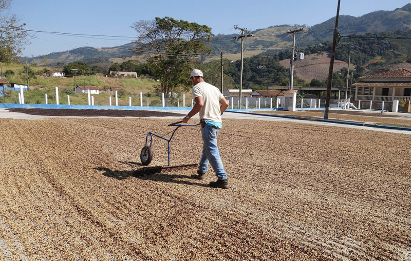 What is Pulped Natural Coffee?