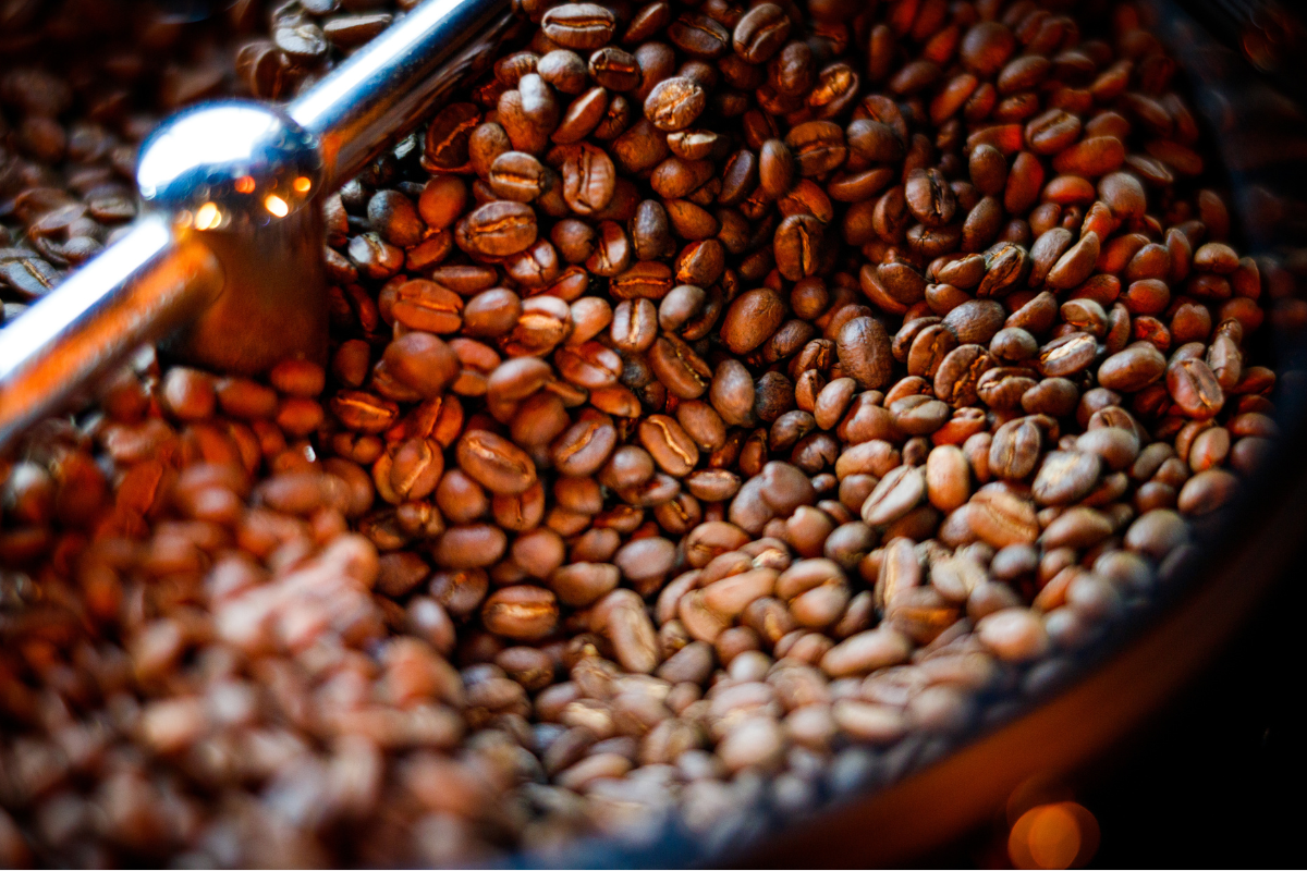 Close-up of freshly roasted coffee beans inside a roasting drum.