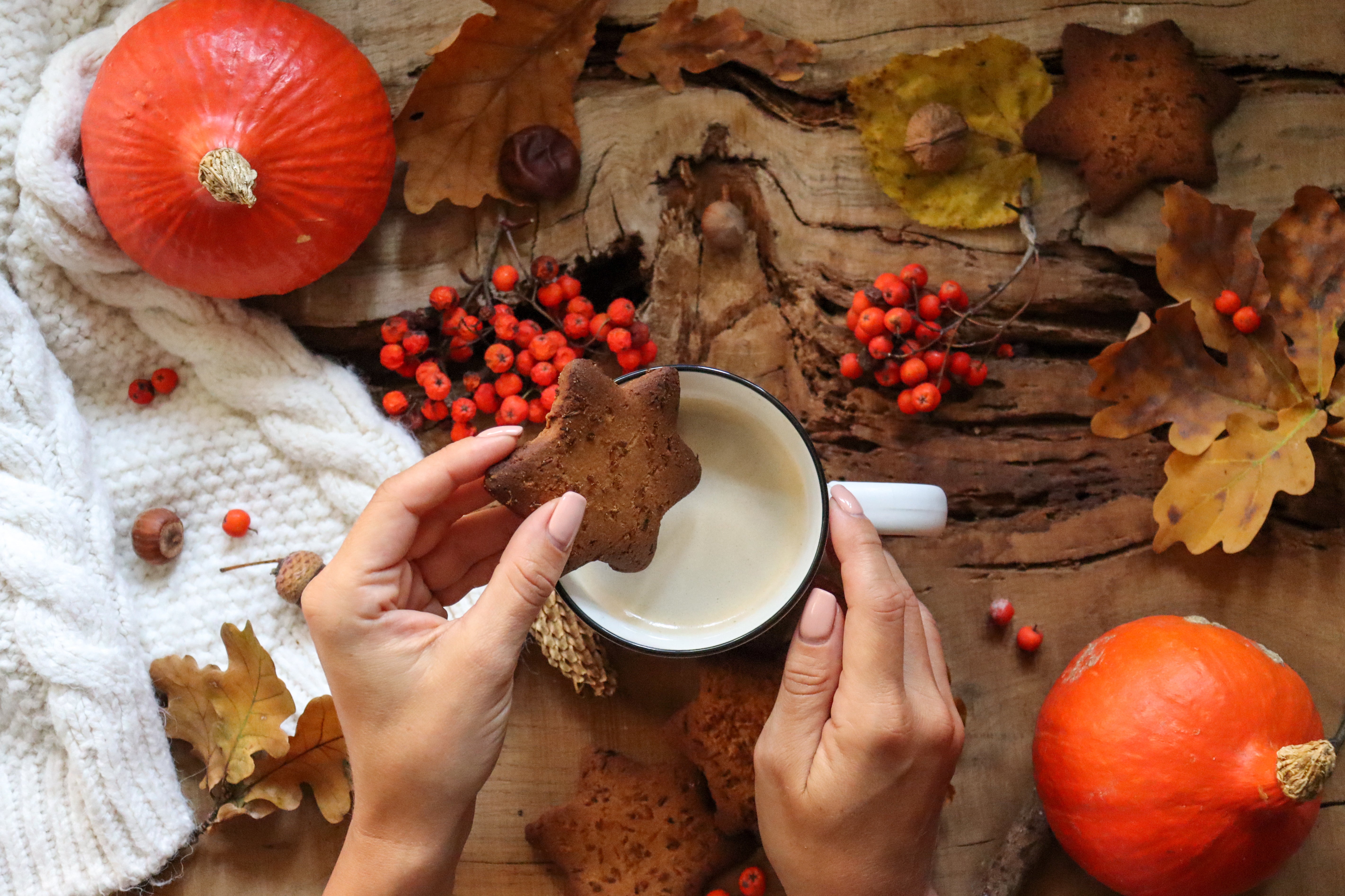 Autumn’s Perfect Pairings: Coffee and Comfort Food