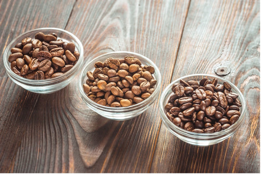 Light, Medium, & Dark Roast Coffee: Understanding Coffee Roasting Levels