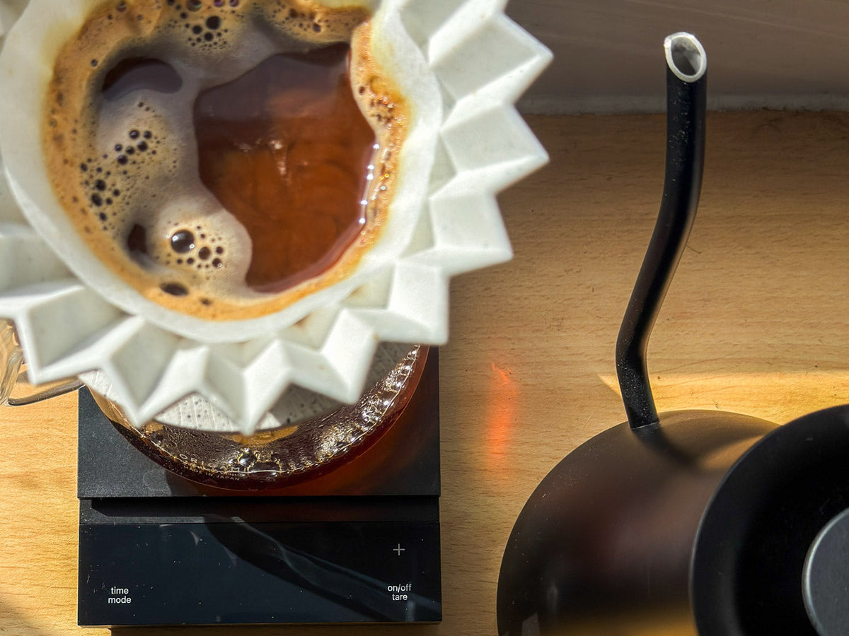 Gooseneck kettle pouring water over coffee in a pour-over brewer