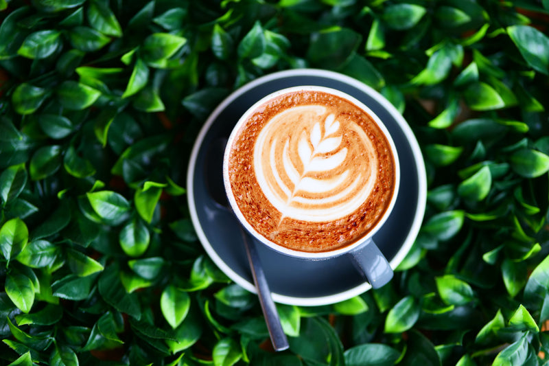 How to use coffee grounds in your garden