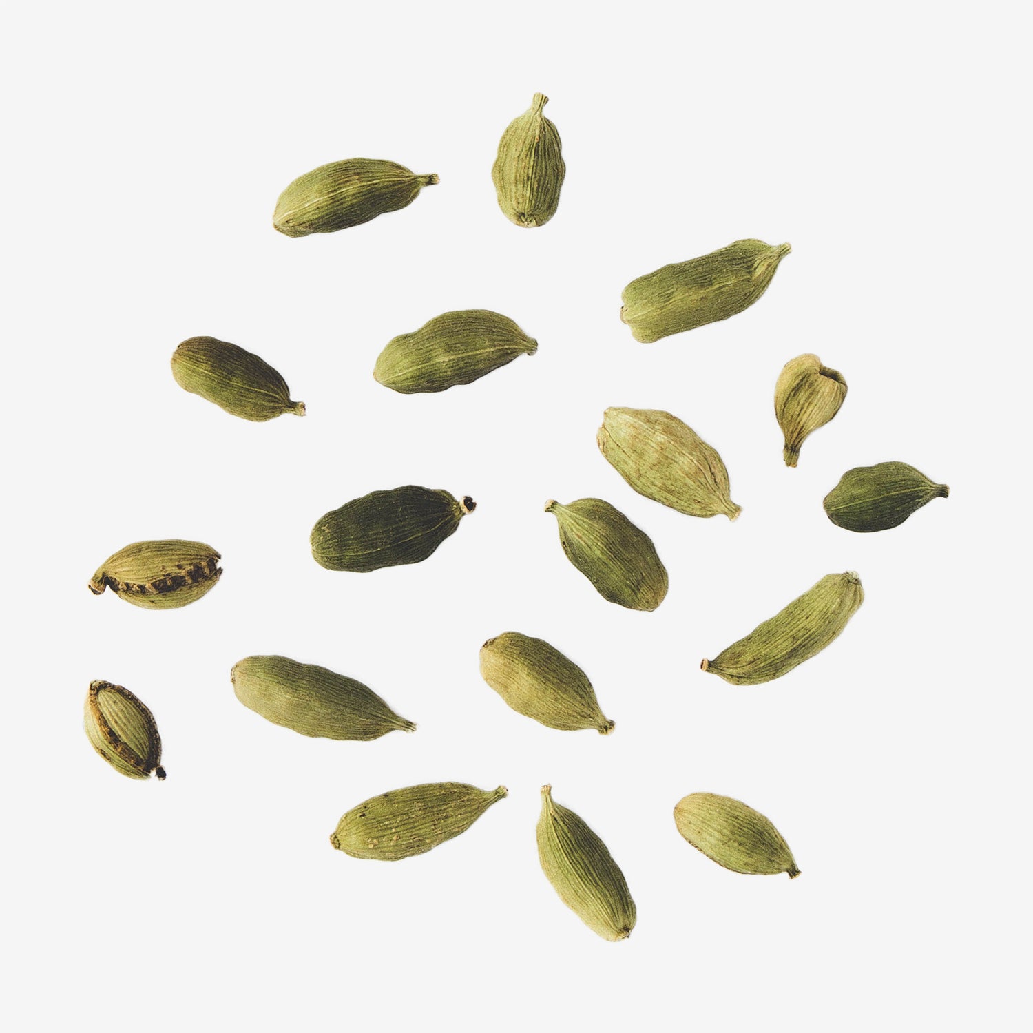 Cardamom