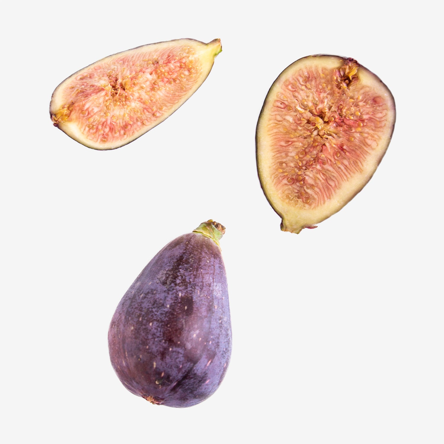 Fig