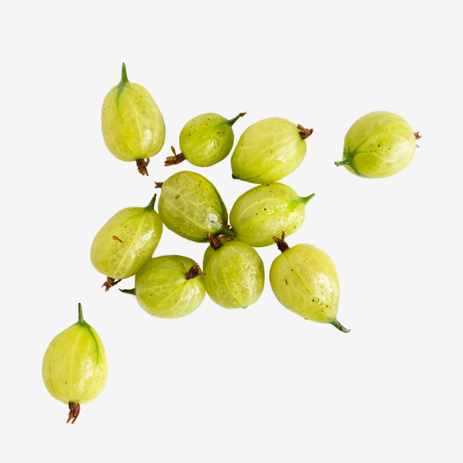 Gooseberry