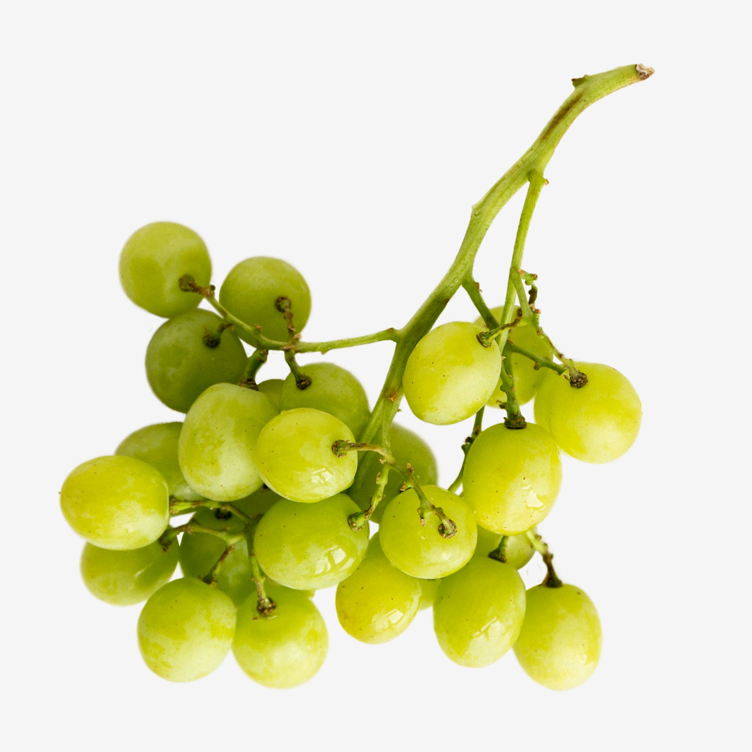 Green Grape