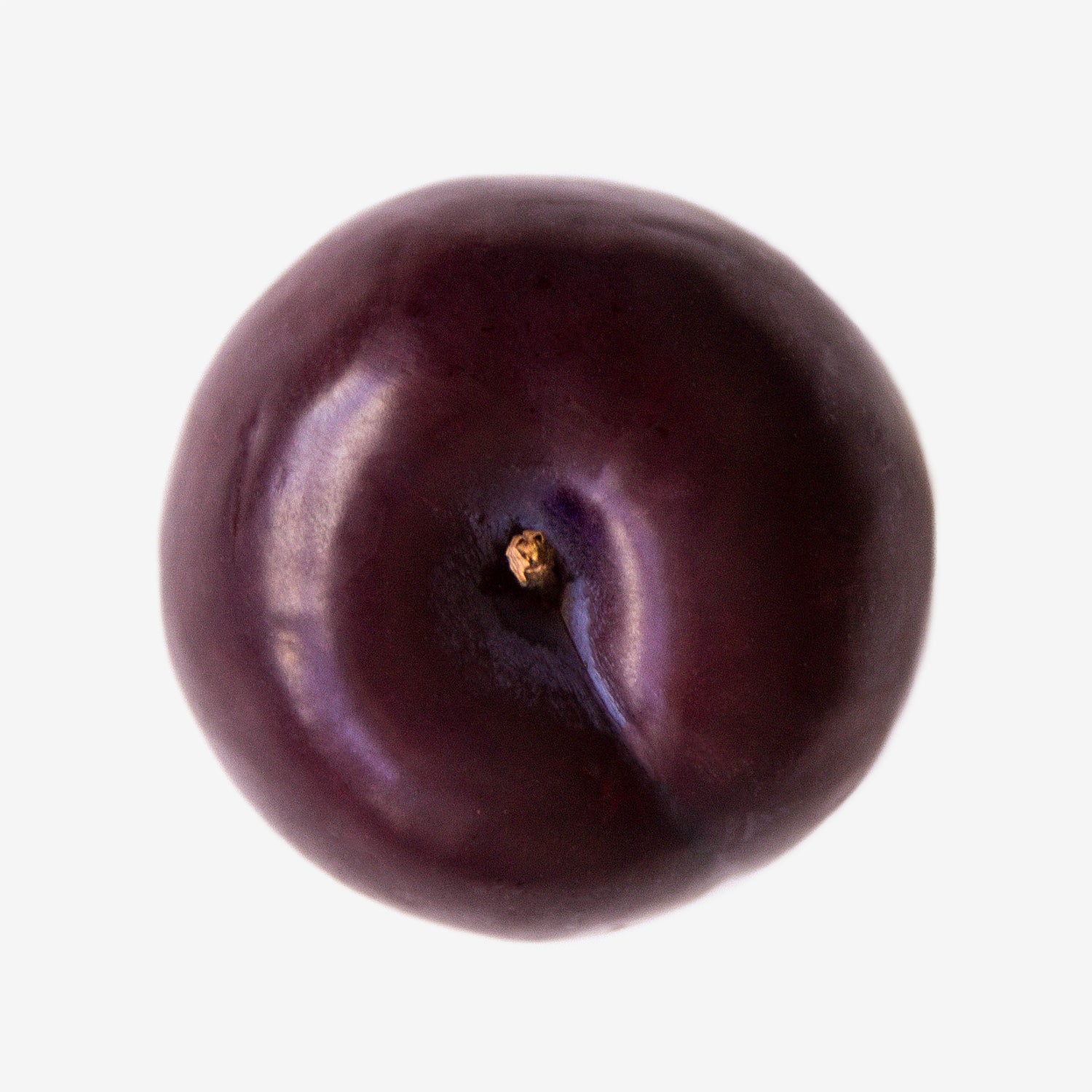 Plum