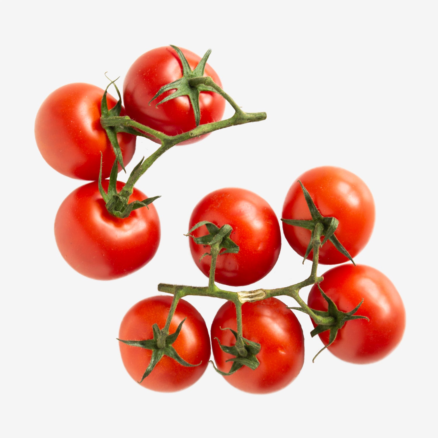 Vine Tomato