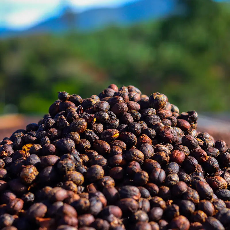 Bean Mine - Valentines Special