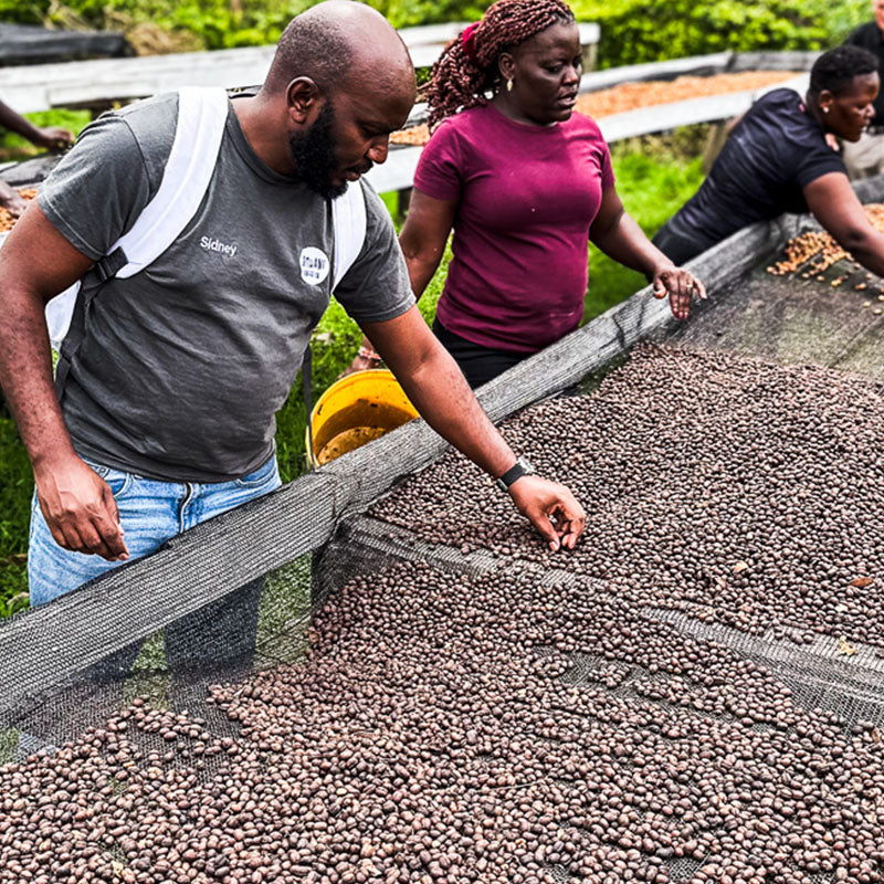 Kenya Orange Co-Ferment