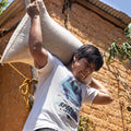 Mexico Tejao