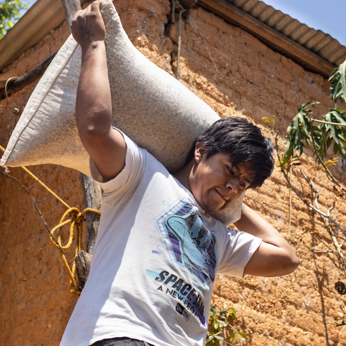 Mazatec farmer among the trees of a traditional polyculture coffee plot