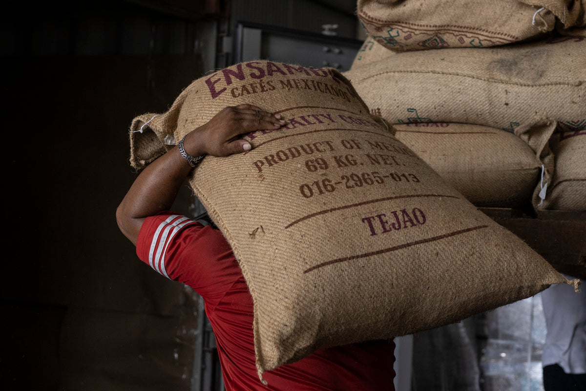 Mazatec coffee farmer near Huautla de Jiménez, Oaxaca