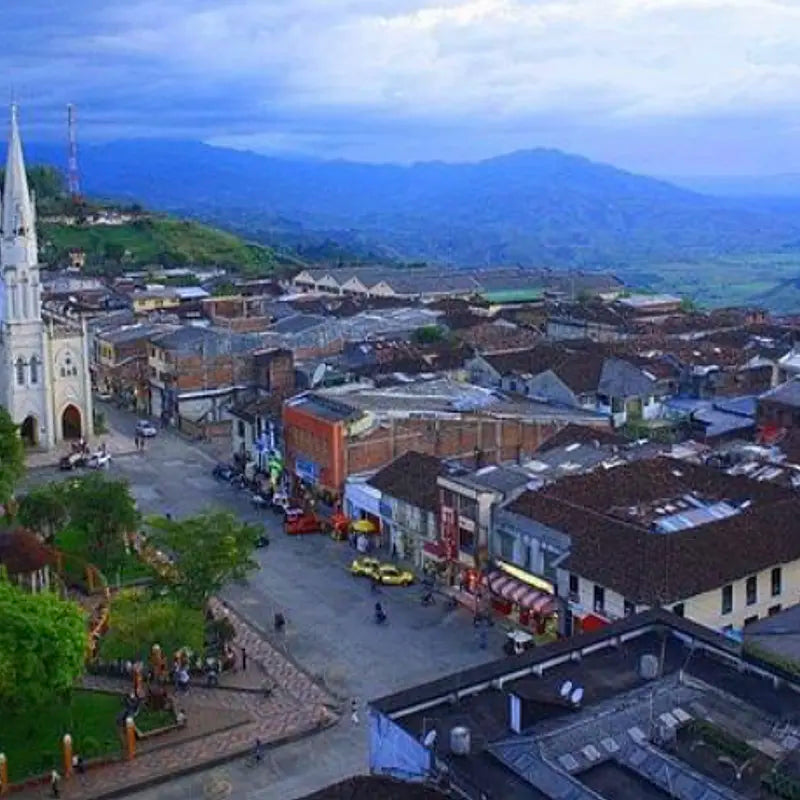 Colombia Sugarcane Decaf