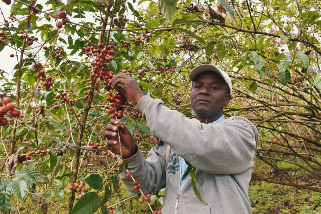 Ethiopia Bekele Kachara